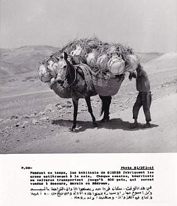 Algerie propagande 076